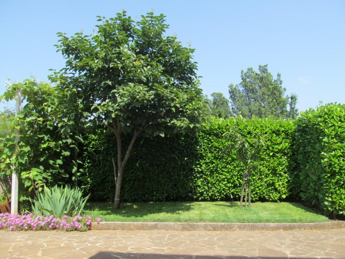 Apartments Zvezdica*** With Garden 赞布雷提亚 外观 照片