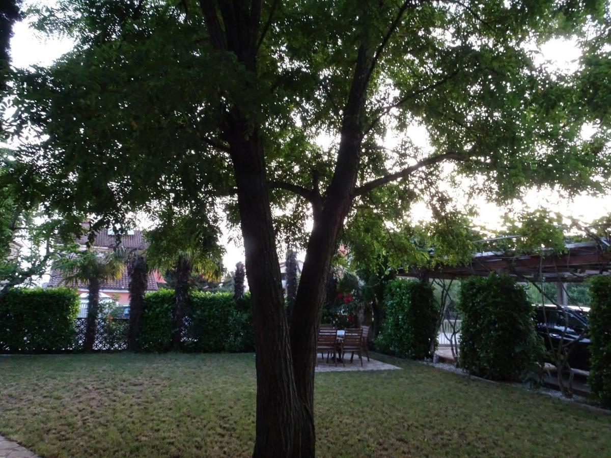 Apartments Zvezdica*** With Garden 赞布雷提亚 外观 照片