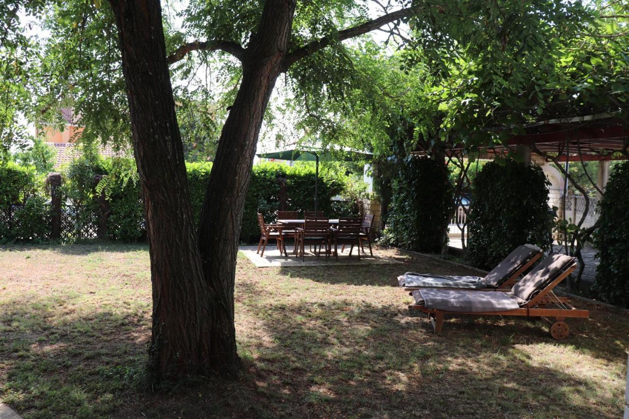 Apartments Zvezdica*** With Garden 赞布雷提亚 外观 照片